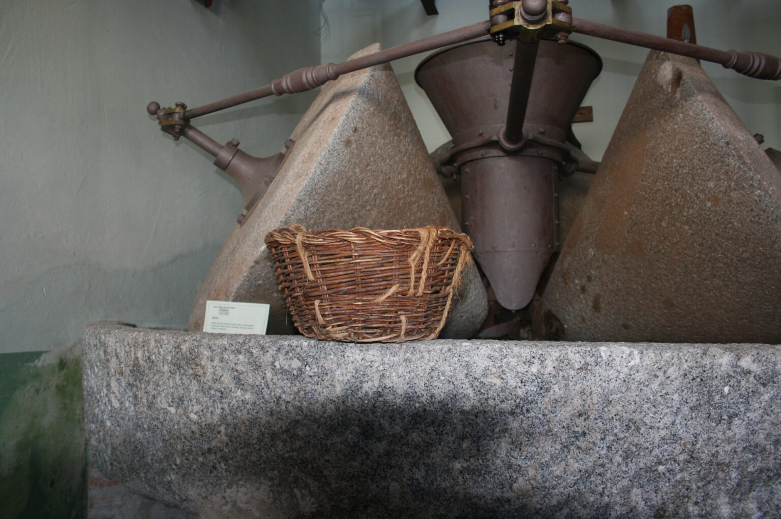 Museo Oleico